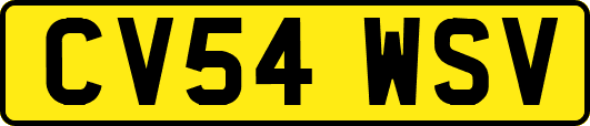 CV54WSV