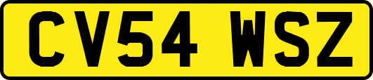 CV54WSZ