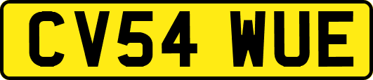 CV54WUE