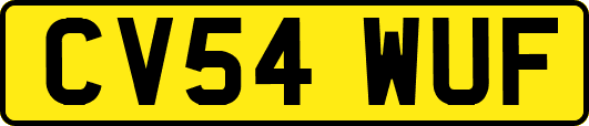 CV54WUF