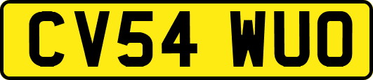 CV54WUO