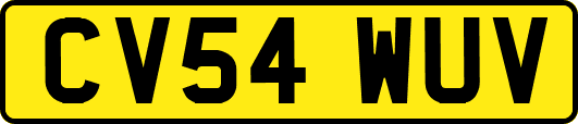 CV54WUV