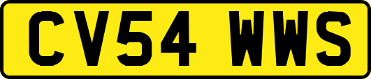 CV54WWS