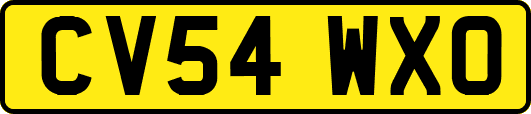 CV54WXO