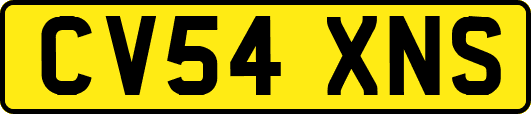 CV54XNS