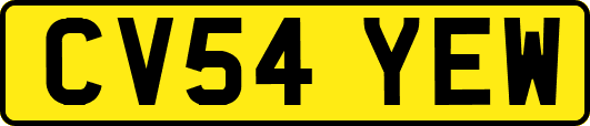 CV54YEW