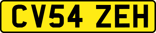 CV54ZEH
