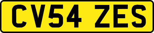 CV54ZES