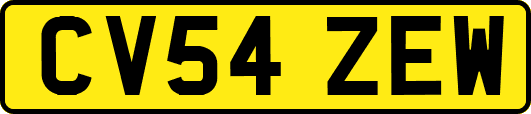 CV54ZEW