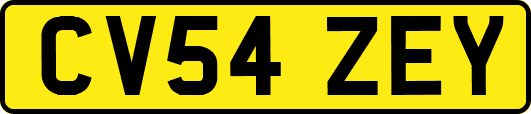 CV54ZEY
