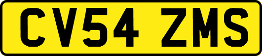 CV54ZMS