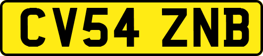 CV54ZNB
