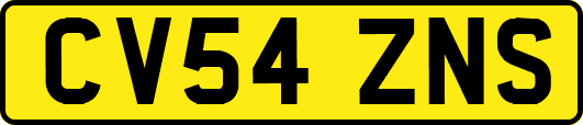 CV54ZNS