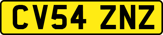 CV54ZNZ