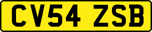 CV54ZSB