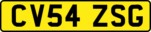 CV54ZSG