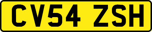 CV54ZSH