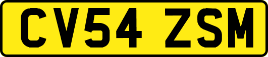 CV54ZSM
