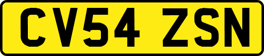 CV54ZSN