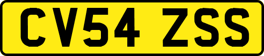 CV54ZSS