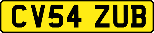 CV54ZUB