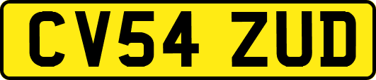 CV54ZUD