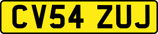 CV54ZUJ