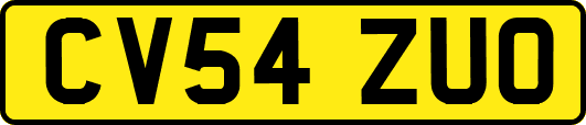 CV54ZUO