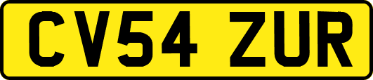 CV54ZUR