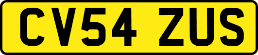 CV54ZUS