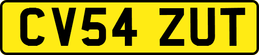 CV54ZUT