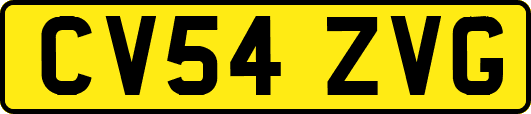 CV54ZVG