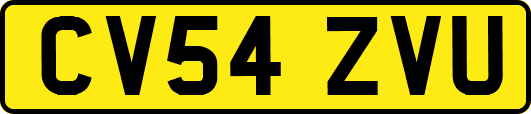 CV54ZVU
