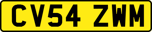 CV54ZWM