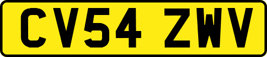 CV54ZWV