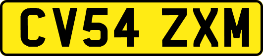 CV54ZXM