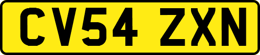 CV54ZXN