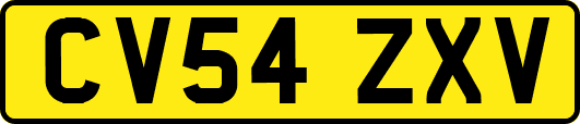 CV54ZXV