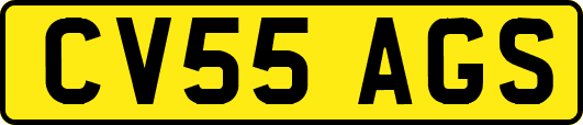 CV55AGS