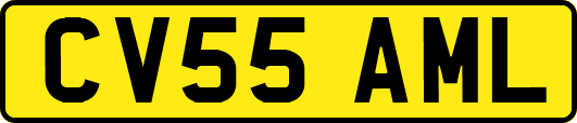 CV55AML