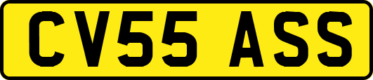 CV55ASS