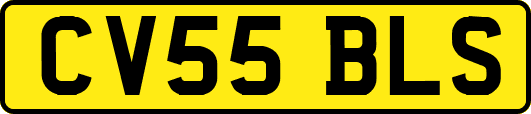 CV55BLS
