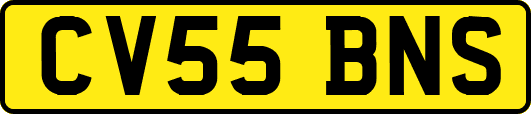 CV55BNS