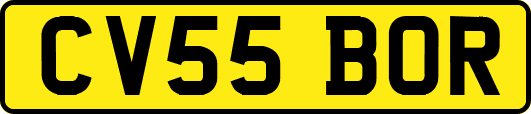 CV55BOR