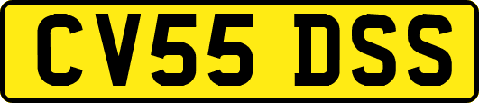 CV55DSS