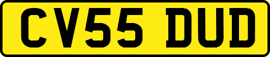 CV55DUD