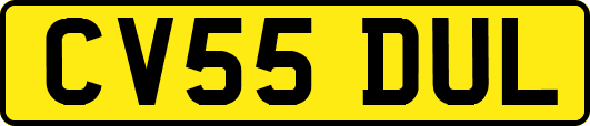 CV55DUL