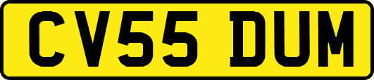 CV55DUM