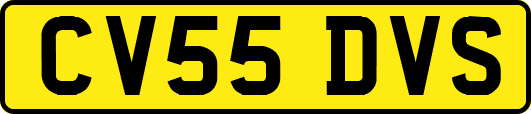 CV55DVS