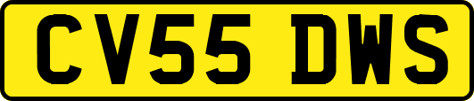 CV55DWS